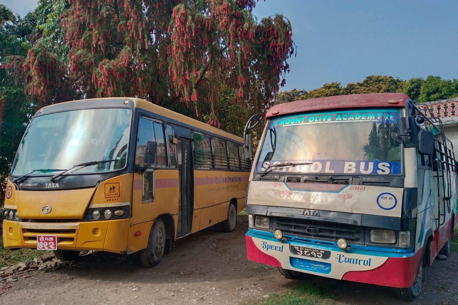 Bus
